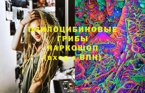 2c-b Алзамай