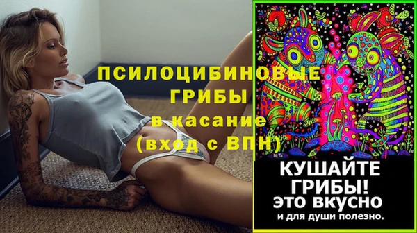 не бодяженный Алексин