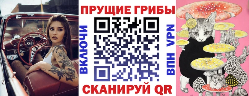 Галлюциногенные грибы Cubensis Тулун
