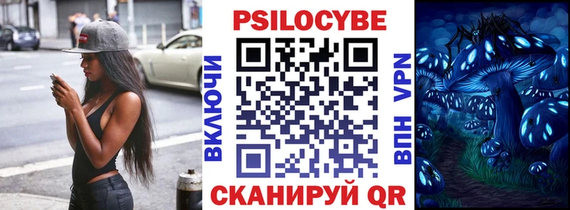 МЕГА ТОР  Тулун  сайты даркнета какой сайт  Галлюциногенные грибы Psilocybine cubensis 